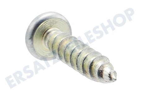 Liebherr Kühlschrank Torx-Schraube