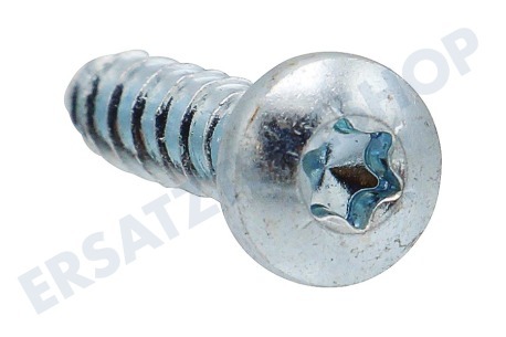 Liebherr Kühlschrank Torx-Schraube