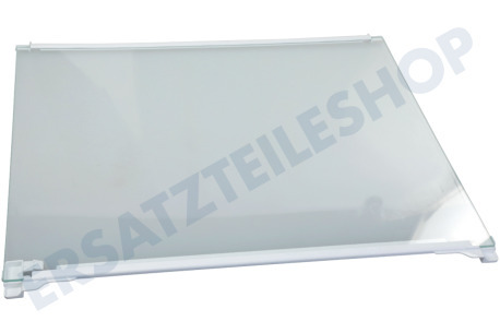 Liebherr Kühlschrank 7276280 Glasplatte komplett