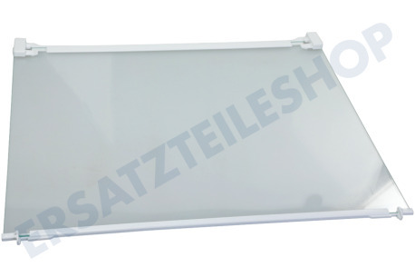 Liebherr Kühlschrank 7276280 Glasplatte komplett
