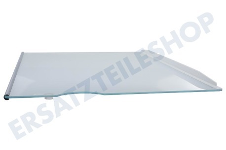 Liebherr Kühlschrank Glasplatte komplett inkl. Leisten