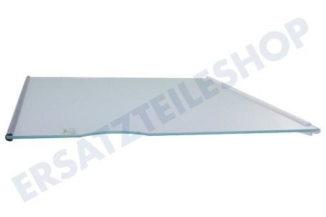 Liebherr Kühlschrank Glasplatte komplett inkl. Leisten