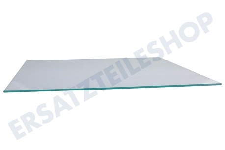 Liebherr Kühlschrank Glasplatte