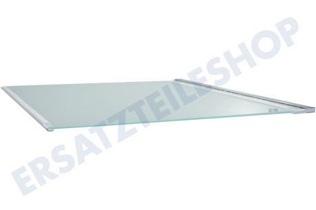 Liebherr Kühlschrank 7276276 Glasplatte komplett mit Leisten