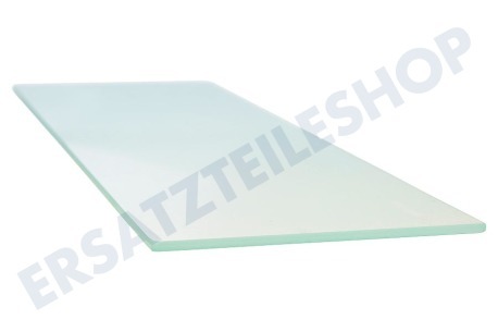 Liebherr Kühlschrank Glasplatte des Türfachs