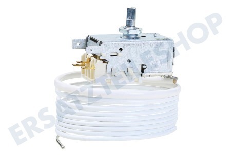 Ranco Kühlschrank K57-L5818-001 Ranco Thermostat