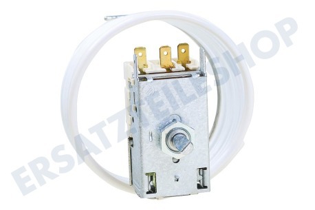 Ranco Kühlschrank K57-L5818-001 Ranco Thermostat