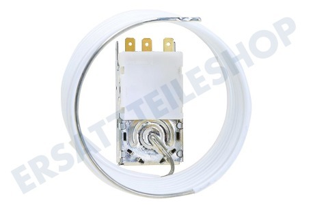 Ranco Kühlschrank K57-L5818-001 Ranco Thermostat