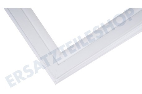 Wegawhite Kühlschrank Dichtungsgummi für Gefrierteil weiß, 610 x 520 mm
