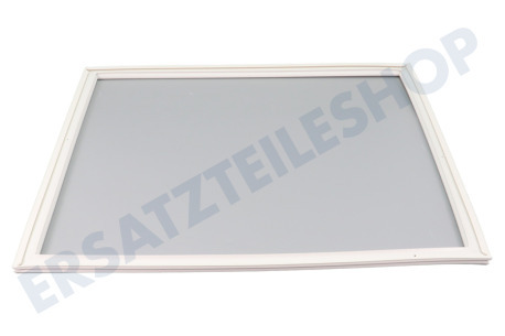 Alternative Kühlschrank Dichtungsgummi Gefrierfach Weiß, 610x520mm