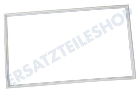 Hanseatic Kühlschrank Dichtungsgummi für Kühleschrank 965x570mm