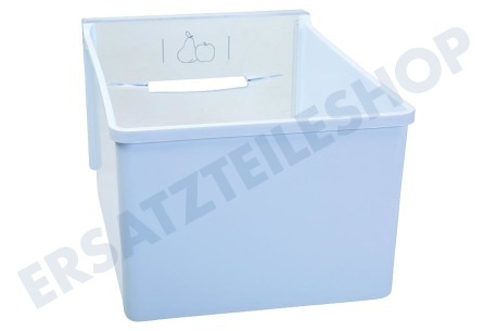 Ariston Kühlschrank Gemüsefach Transparent/Weiß, 230x155mm Kristall