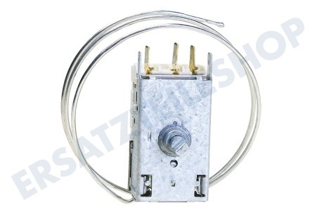 Bauknecht Kühlschrank Thermostat A13 0092K C046 ATEA