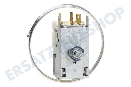 Candy Kühlschrank Thermostat K59L1942500