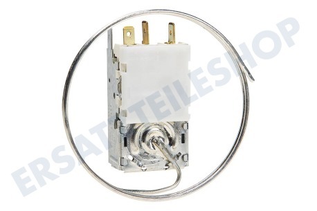 Candy Kühlschrank Thermostat K59L1942500