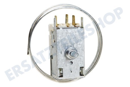 Ranco Kühlschrank Thermostat Ranco K59S1890500 + Lampenfassung ersetzt A13 0584