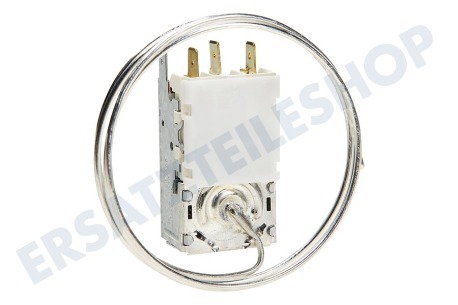 Ranco Kühlschrank Thermostat Ranco K59S1890500 + Lampenfassung ersetzt A13 0584