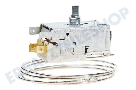 Ranco Kühlschrank Thermostat Ranco K59S1890500 + Lampenfassung ersetzt A13 0584