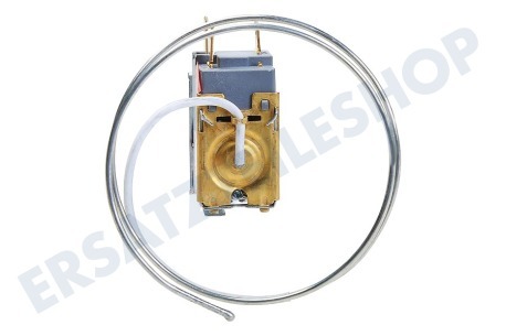 Laden Kühlschrank Thermostat 3 Kontakte Cap.L = 60
