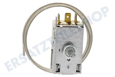 Goddess Kühlschrank Thermostat K59 L2139