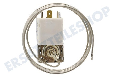 Goddess Kühlschrank Thermostat K59 L2139