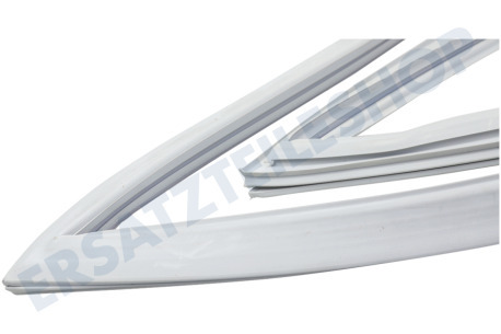 Samsung Kühlschrank DA97-19053G Dichtungsgummi Gefrierteil