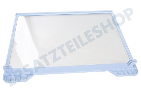 Samsung Kühlschrank DA67-04253A Glasplatte R54000K