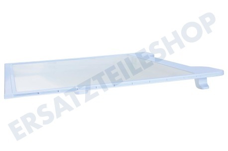 Samsung Kühlschrank DA67-04253A Glasplatte R54000K