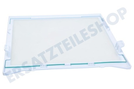 Samsung Kühlschrank DA97-16729A Glasplatte, Mitte