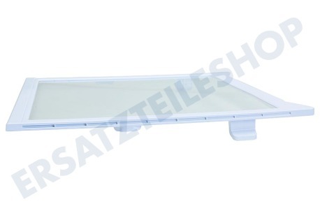 Samsung Kühlschrank DA97-16729A Glasplatte, Mitte