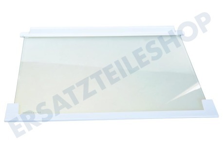 Zanussi-electrolux Kühlschrank Glasplatte 475x310mm Glasplatte inkl. Schutzränder