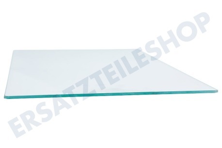 Zanussi-electrolux Kühlschrank Glasablage