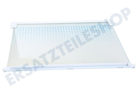 Zanussi Kühlschrank Glasablage