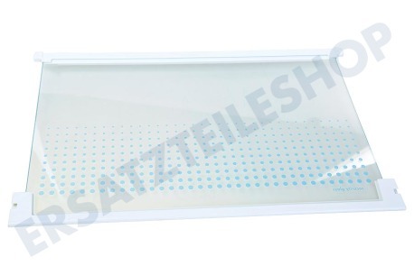 Zanussi Kühlschrank Glasablage