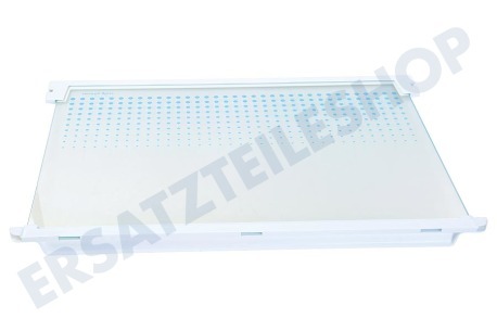 Zanussi Kühlschrank Glasablage
