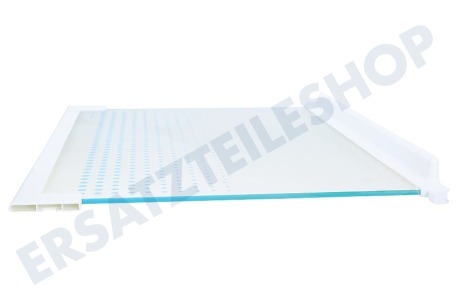 Zanussi Kühlschrank Glasablage