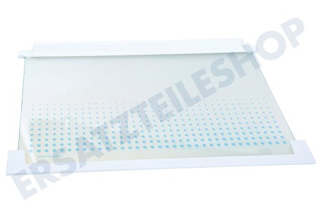 Zanussi-electrolux Kühlschrank Glasplatte 475x310mm, Glasplatte Inkl. Schutzränder