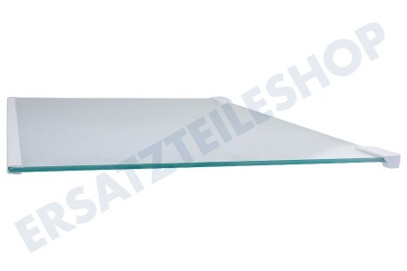 Electrolux Kühlschrank 2109403036 Glasablage