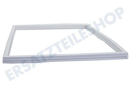 Dometic Kühlschrank 292261300 Gummidichtung, Weiß