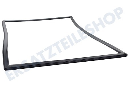 Dometic Kühlschrank 241301033 Dichtungsgummi Schwarz