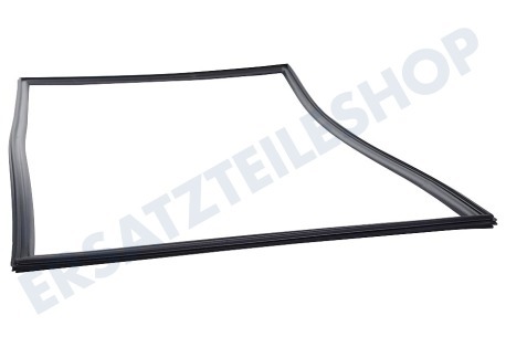 Dometic Kühlschrank 241301033 Dichtungsgummi Schwarz