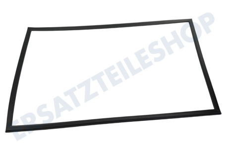 Dometic Kühlschrank 241301003 Dichtungsgummi Schwarz
