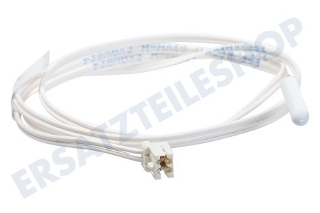 Dometic Kühlschrank Verdampfersensor
