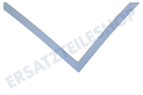 LG Kühlschrank ADX73270508 Türdichtung