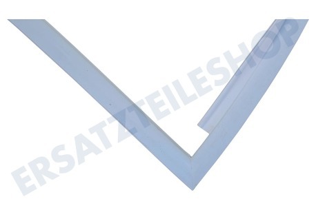 LG Kühlschrank ADX73270508 Türdichtung