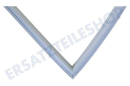 LG Kühlschrank ADX73270508 Türdichtung