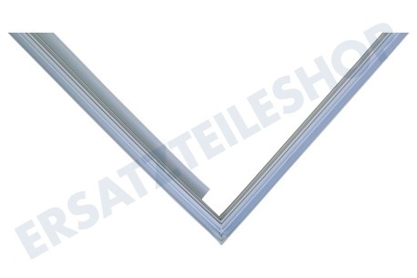 LG Kühlschrank ADX73270508 Türdichtung