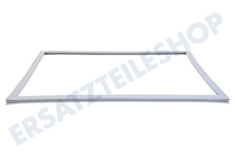 LG Kühlschrank ADX73590902 Türgummi Kühlschrank