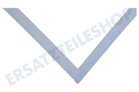 LG Kühlschrank ADX73590902 Türgummi Kühlschrank