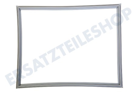 LG Kühlschrank ADX73590902 Türgummi Kühlschrank